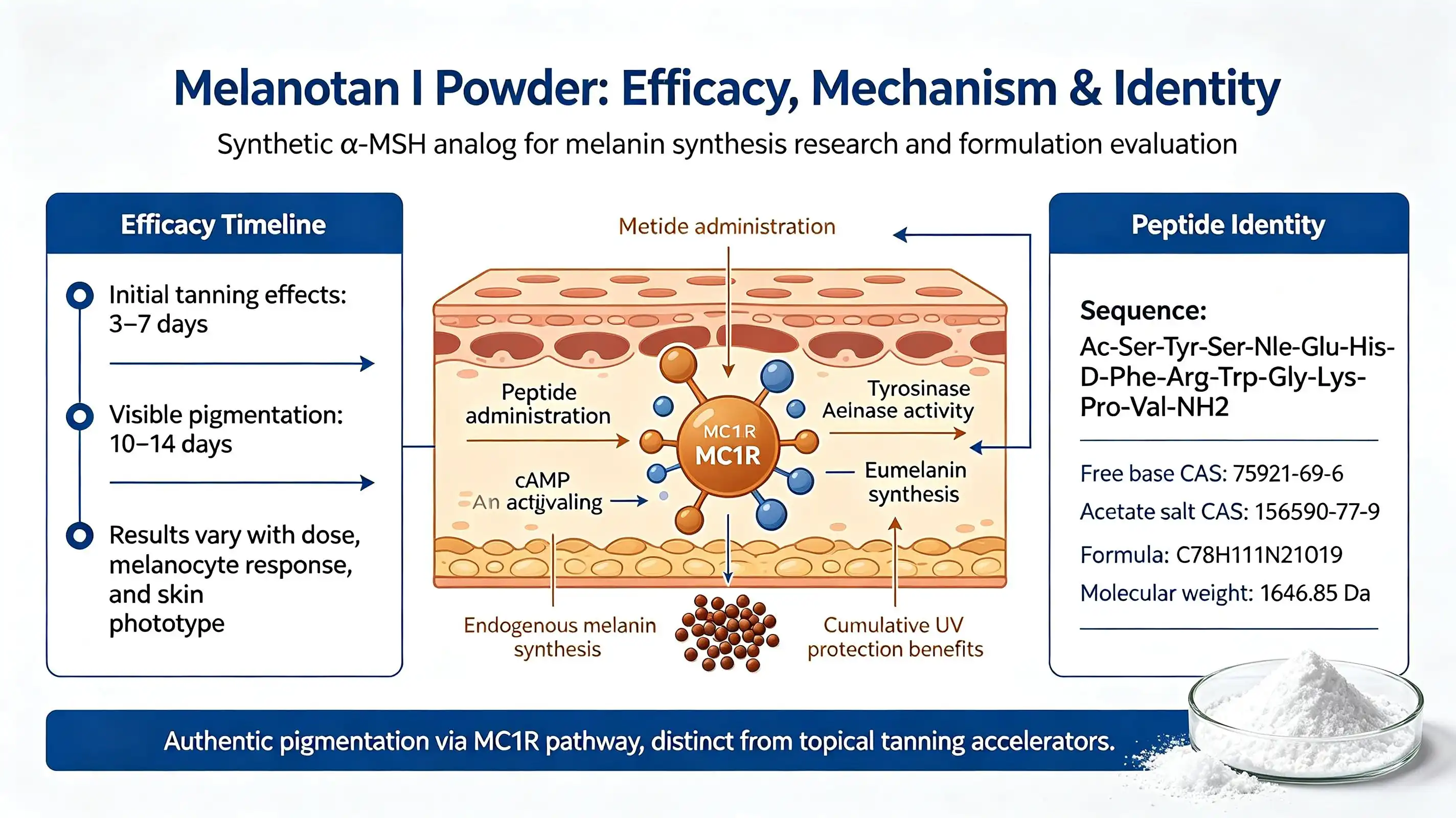 How long does it take for Melanotan I to start working? How long does it take for Melanotan I to start working?